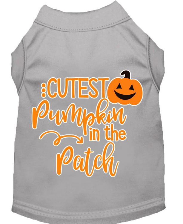 Cutest Pumpkin in the Patch Screen Print Dog Shirt Grey Sm